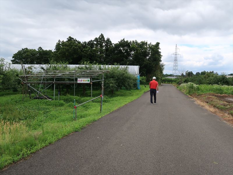 畑までの路面（アスファルト）