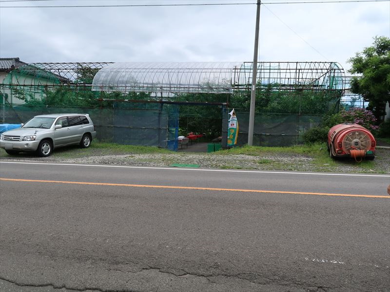 食べ放題会場（道路横断の際、お車にご注意ください。）